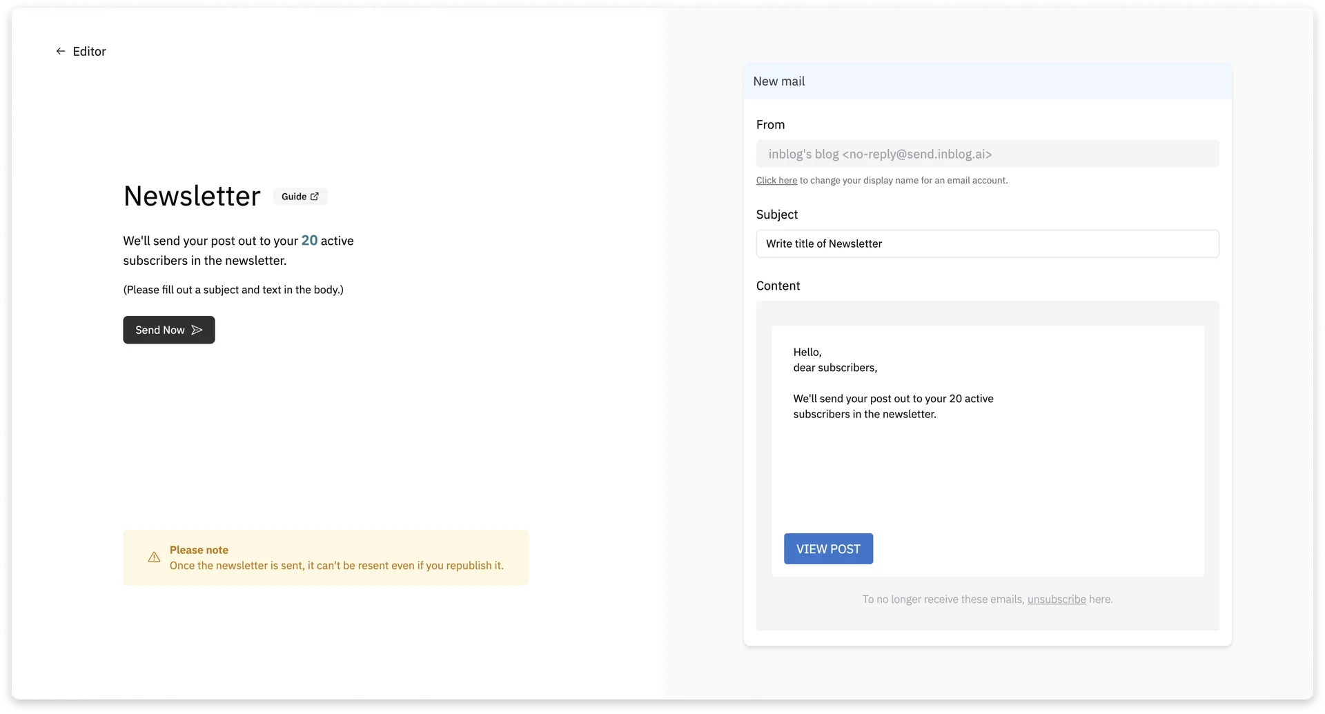 Write Newsletter Content