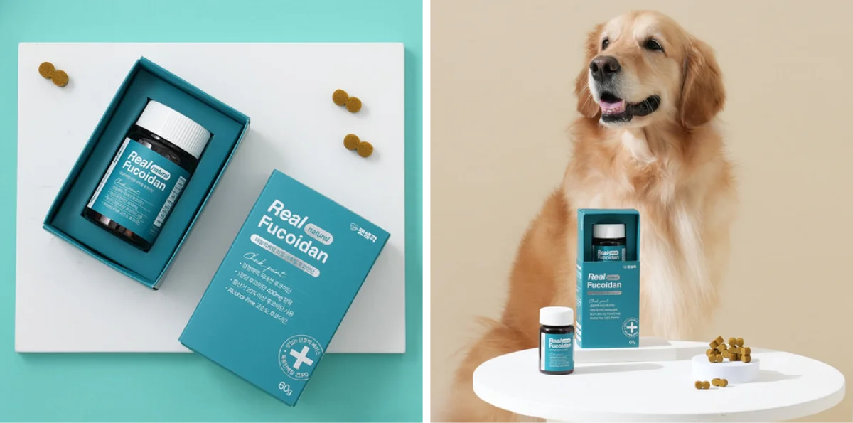 펫생각 제품 리얼후코이단