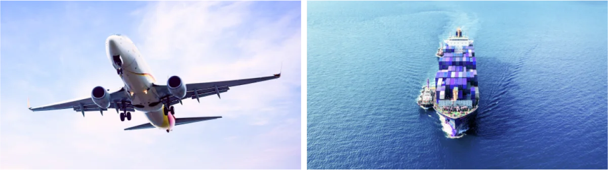 아르고 국제 운송 서비스