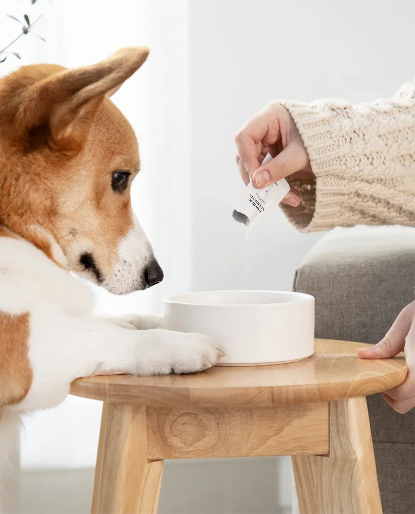 반려동물 상세페이지
