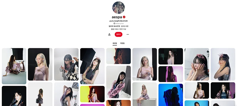 에스파 핀터레스트