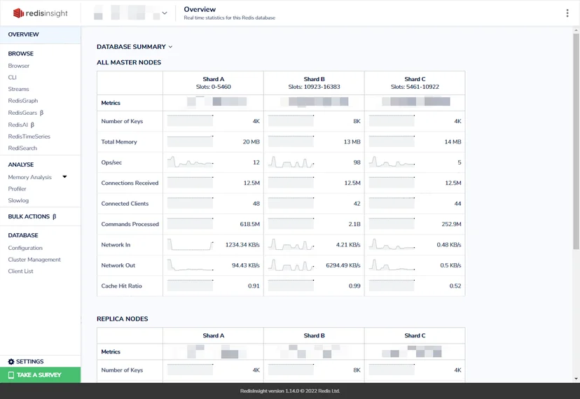 RedisInsight Overview