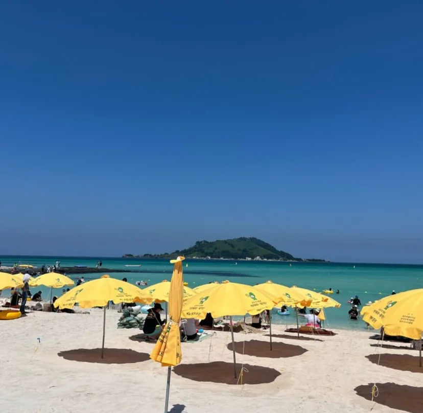 제주 해수욕장 협재 해수욕장에서 바다와 함께 여름을 즐기고 있는 모습