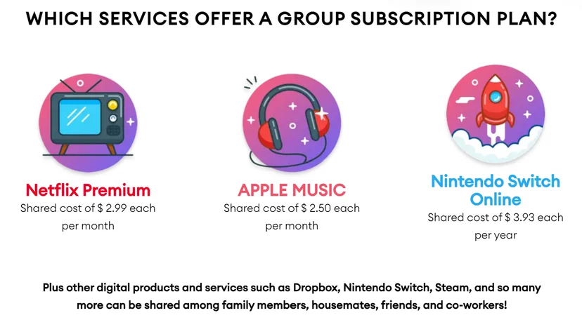 Top 3 Netflix Account Sharing Services : PicklePlus vs GamsGo vs Together Price