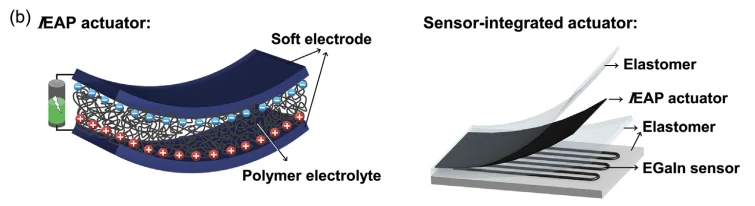 figure from the paper