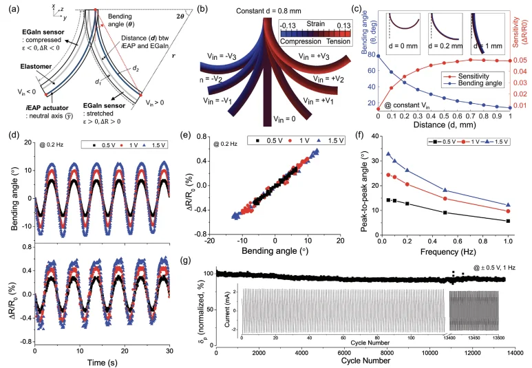 Figure 3 of the paper