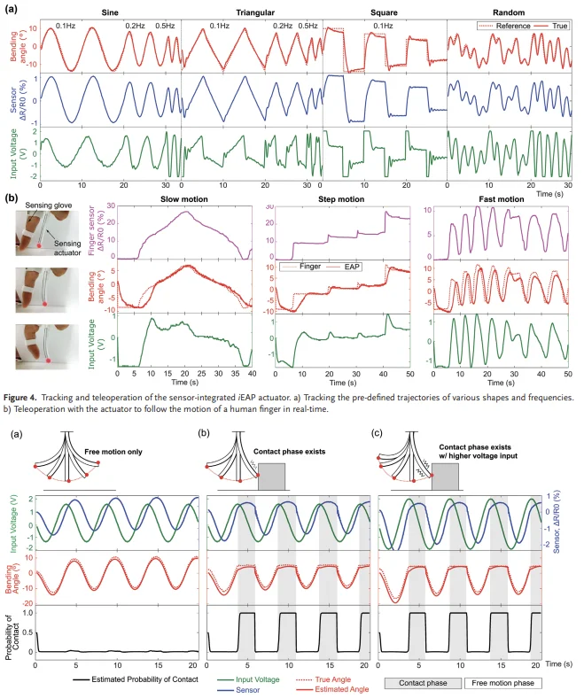 Figure 5 of the paper