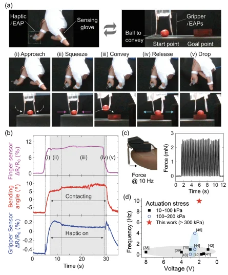 Figure 6 of the paper