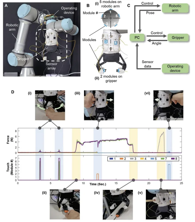 Figure 6 of the paper
