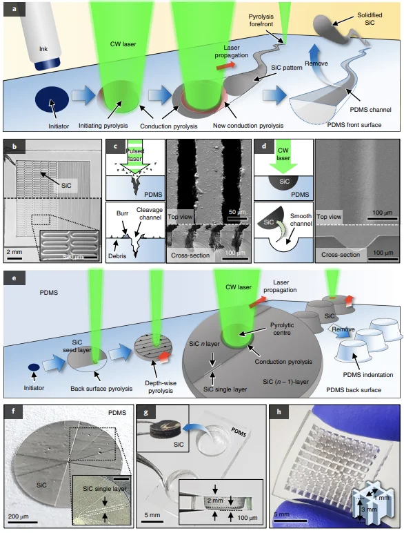 Figure 1 of the paper