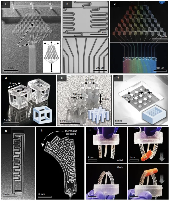 Figure 3 of the paper