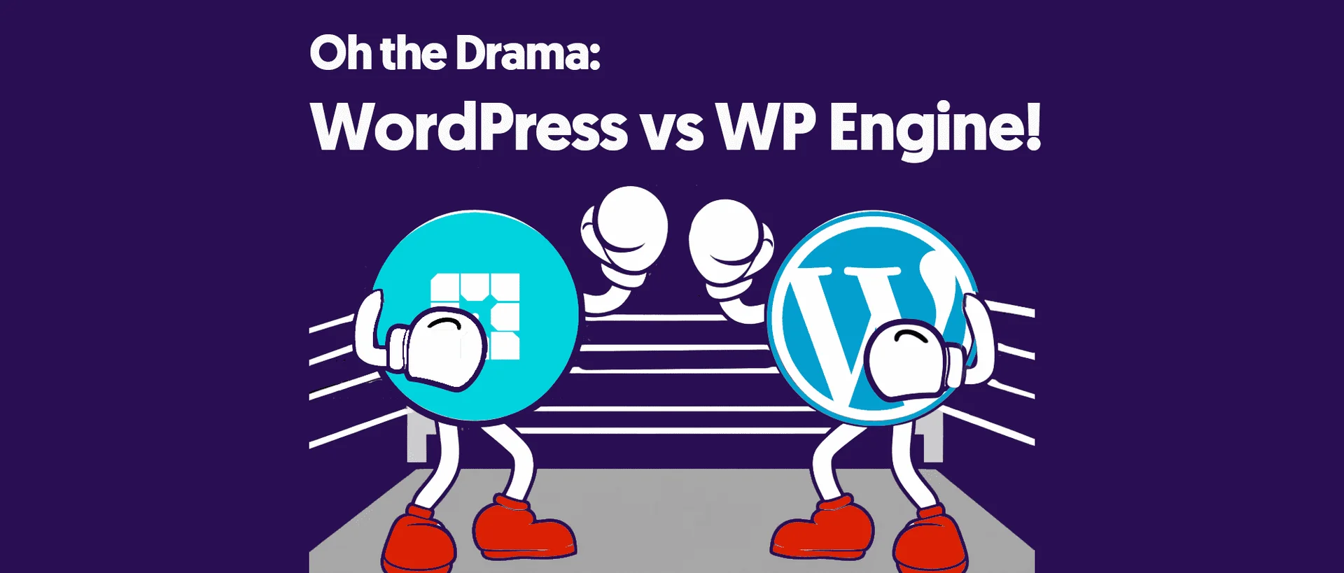 워드프레스와 WP엔진간의 갈등