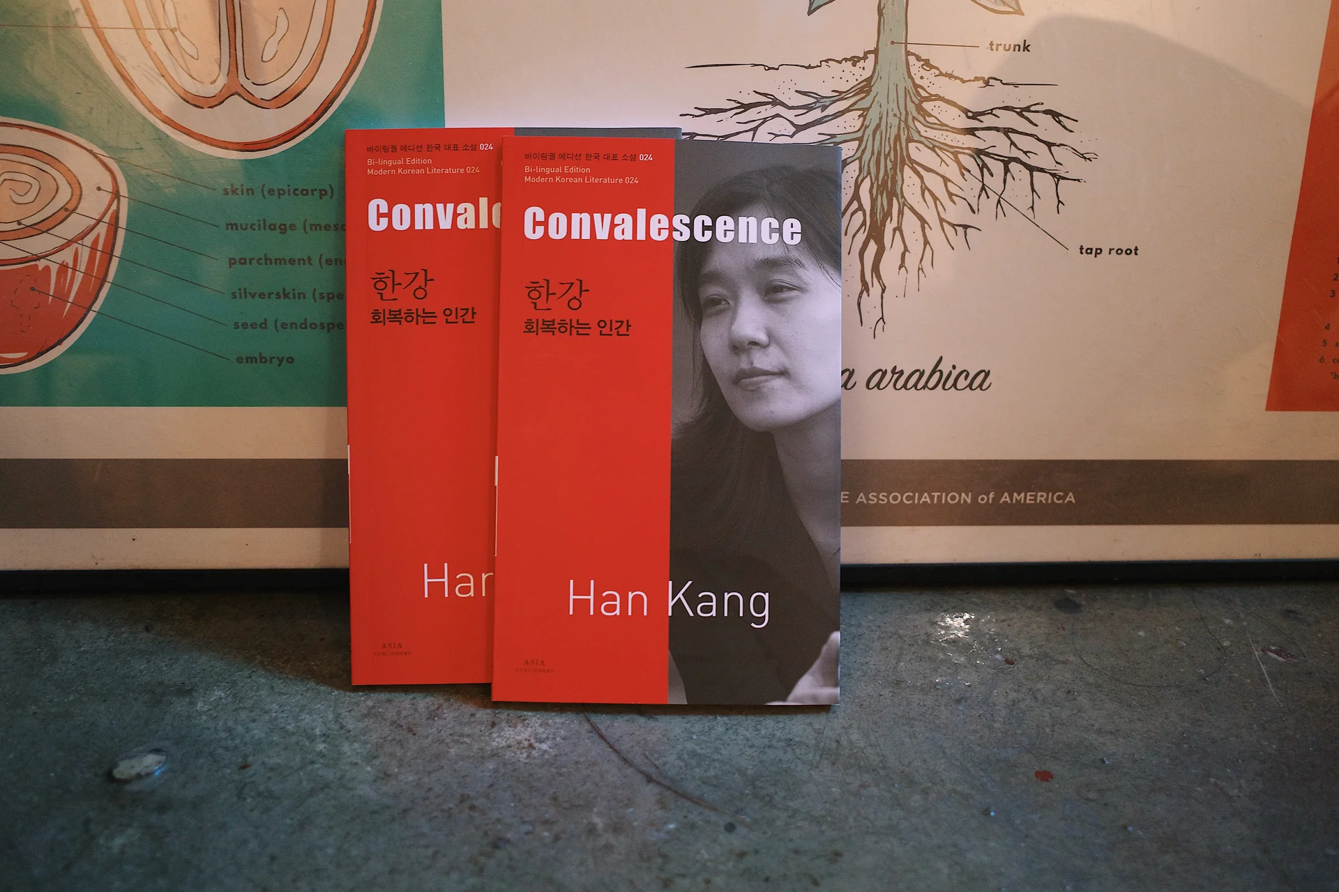 노벨문학상 수상 작가 한강 대표 소설 <회복하는 인간> 내용, 줄거리, 결말, 의미, 해석, 특징, 인상 깊은 문장, 인터뷰 등