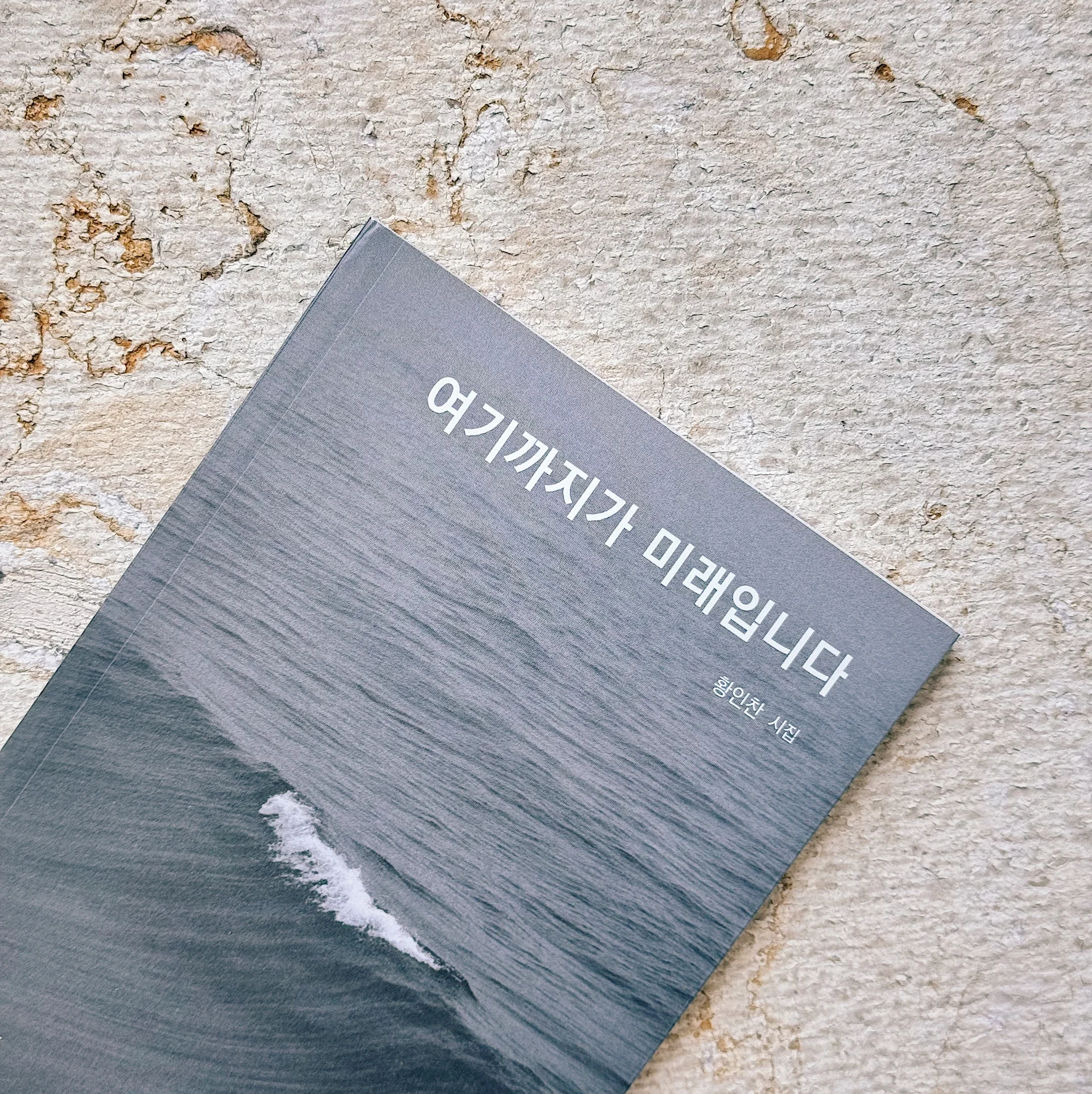 '과시용 독서'와 '텍스트힙'이란? 뜻 설명부터 과시용 독서하기 딱 좋은 시집 추천작5 모음