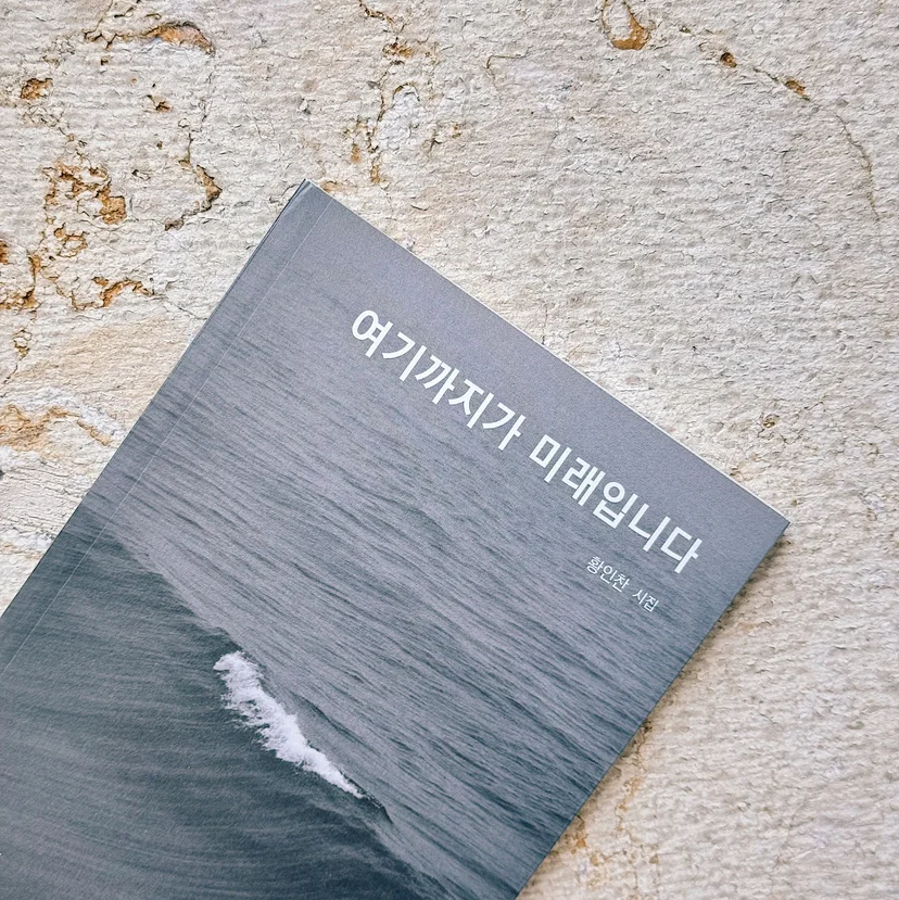'과시용 독서'와 '텍스트힙'이란? 뜻 설명부터 과시용 독서하기 딱 좋은 시집 추천작5 모음