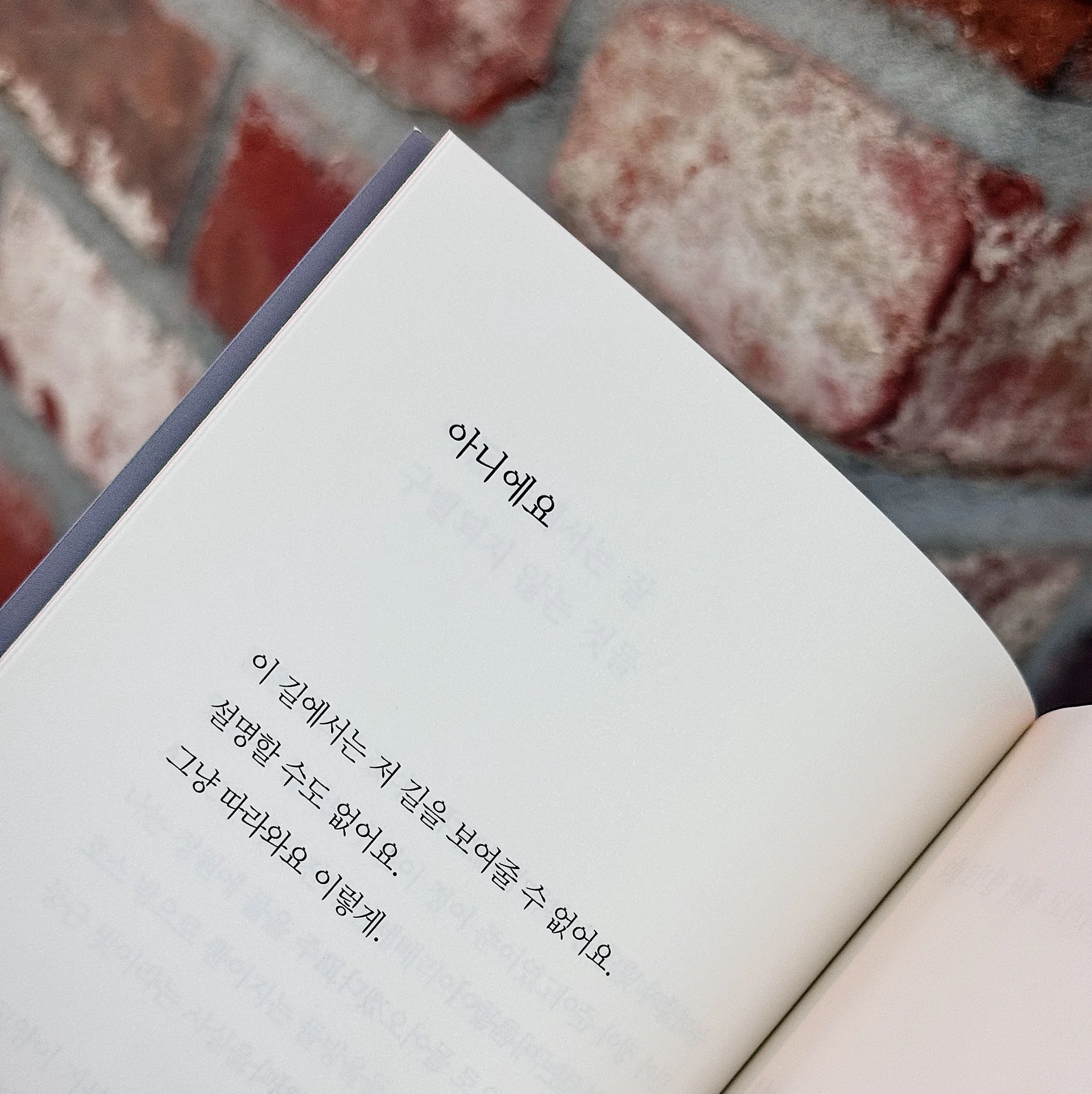 '과시용 독서'와 '텍스트힙'이란? 뜻 설명부터 과시용 독서하기 딱 좋은 시집 추천작5 모음