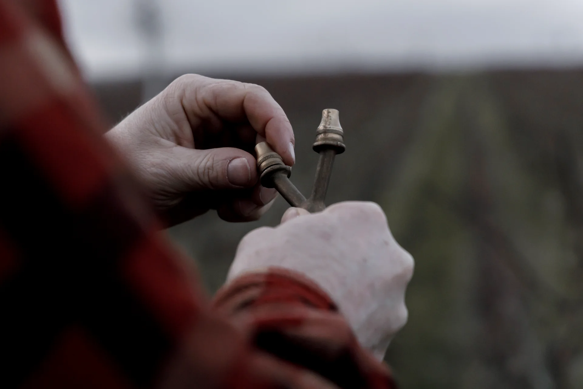 샹파뉴 포도밭 수확 풍경