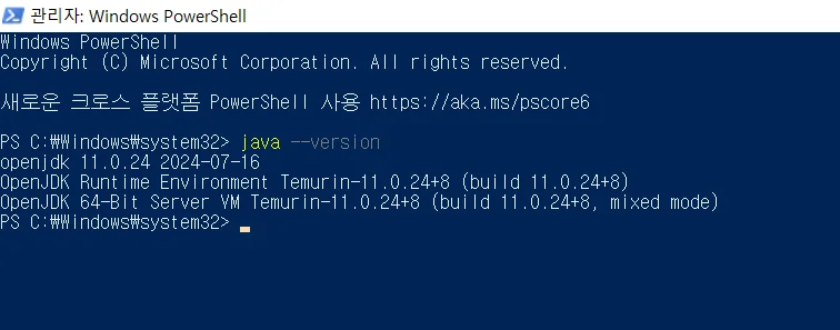 설치된 Java 버전 확인