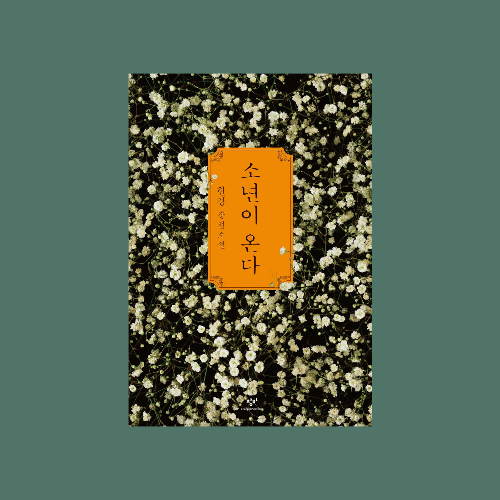 한강, 소년이온다