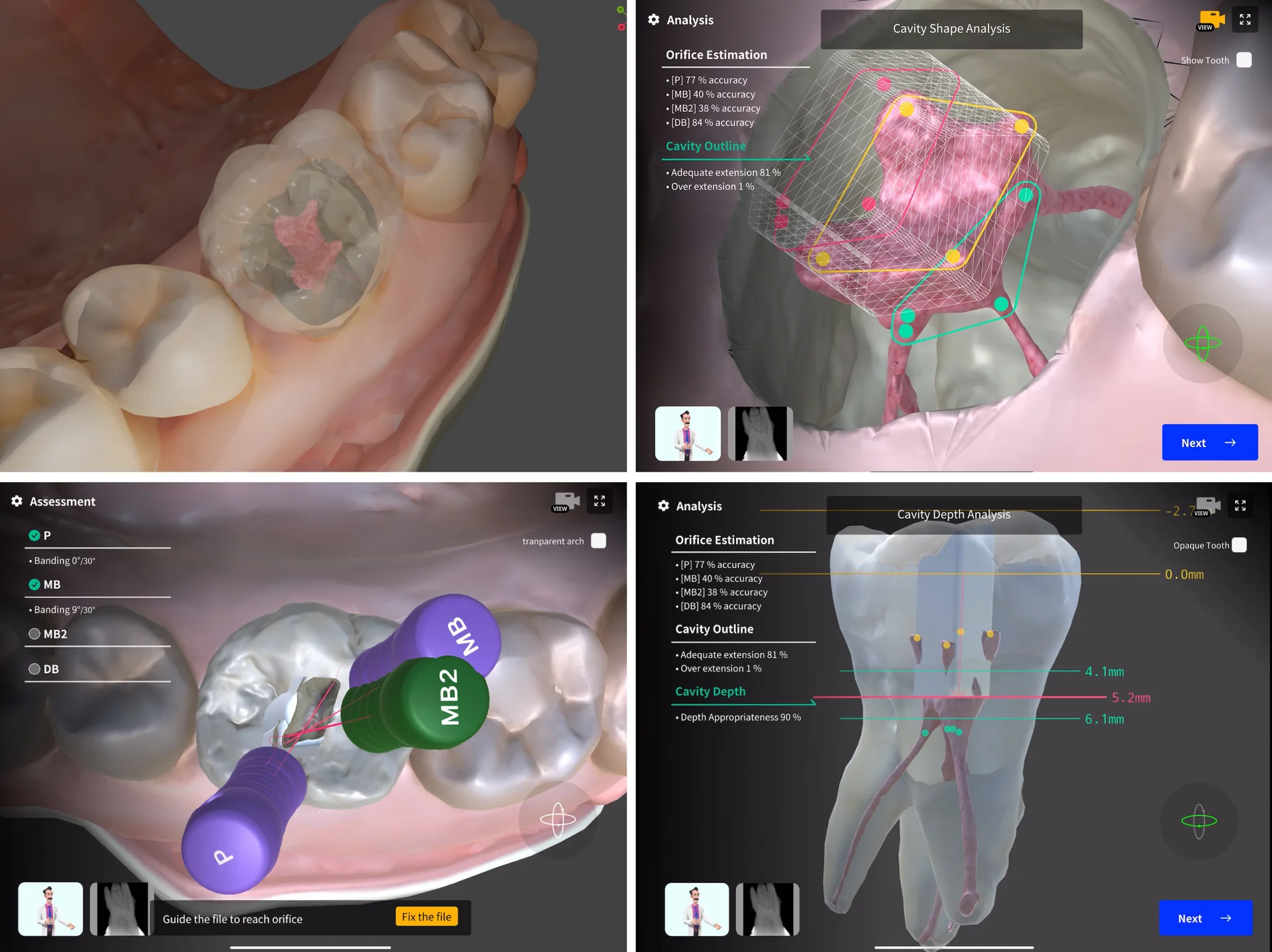 Unique Anatomical Views for Comprehensive Insight