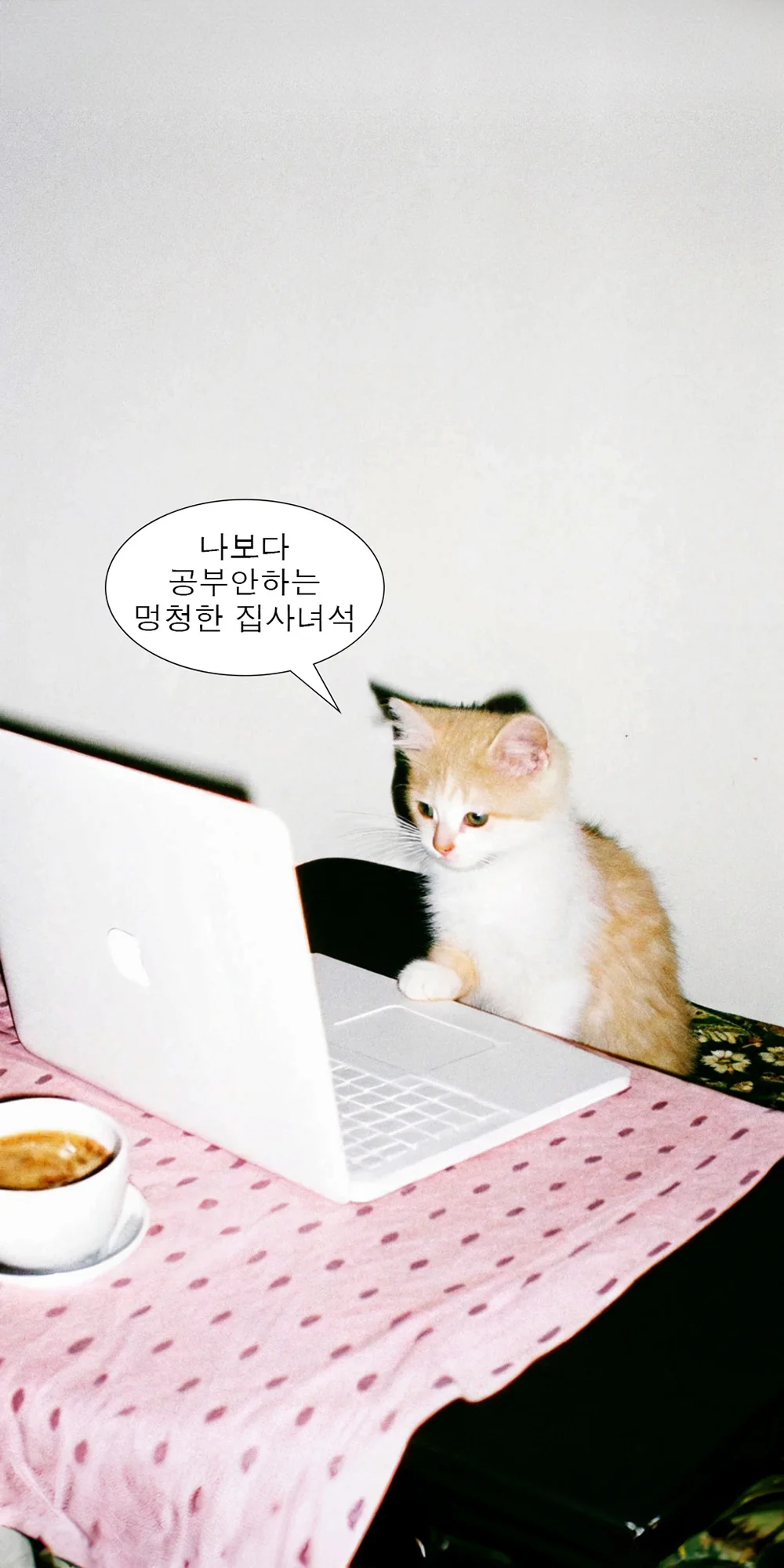 AI로 만든 노트북 앞에서 진지하게 공부하는 고양이