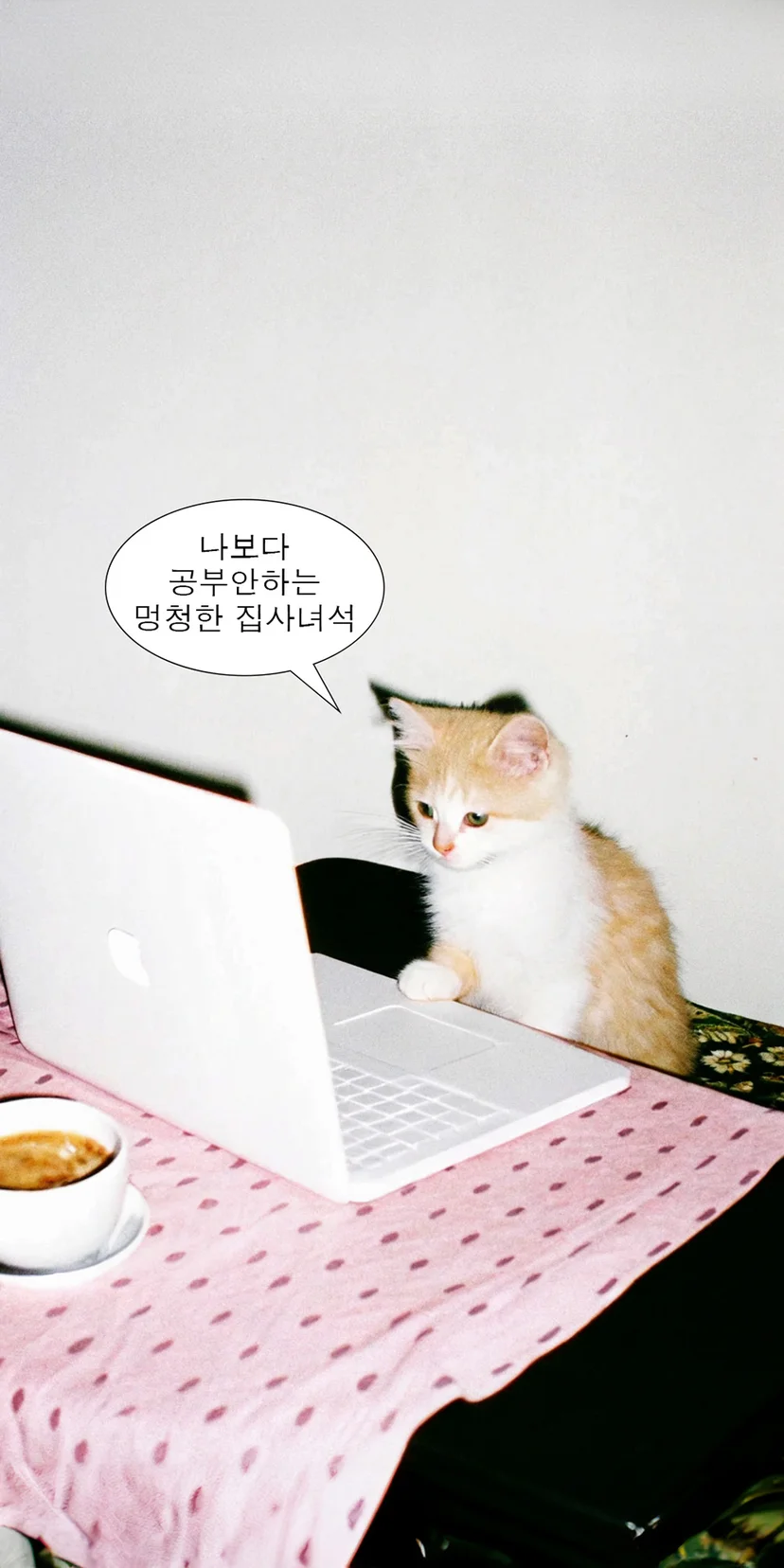 AI로 만든 노트북 앞에서 진지하게 공부하는 고양이