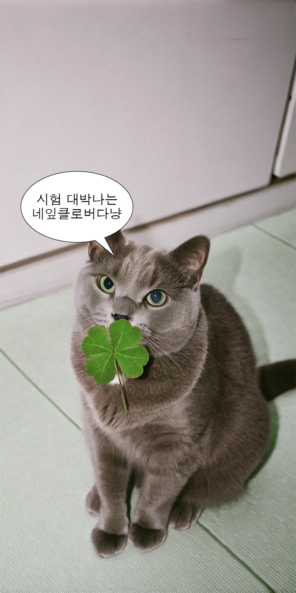 AI로 만든 네잎클로버를 물고 있는 고양이