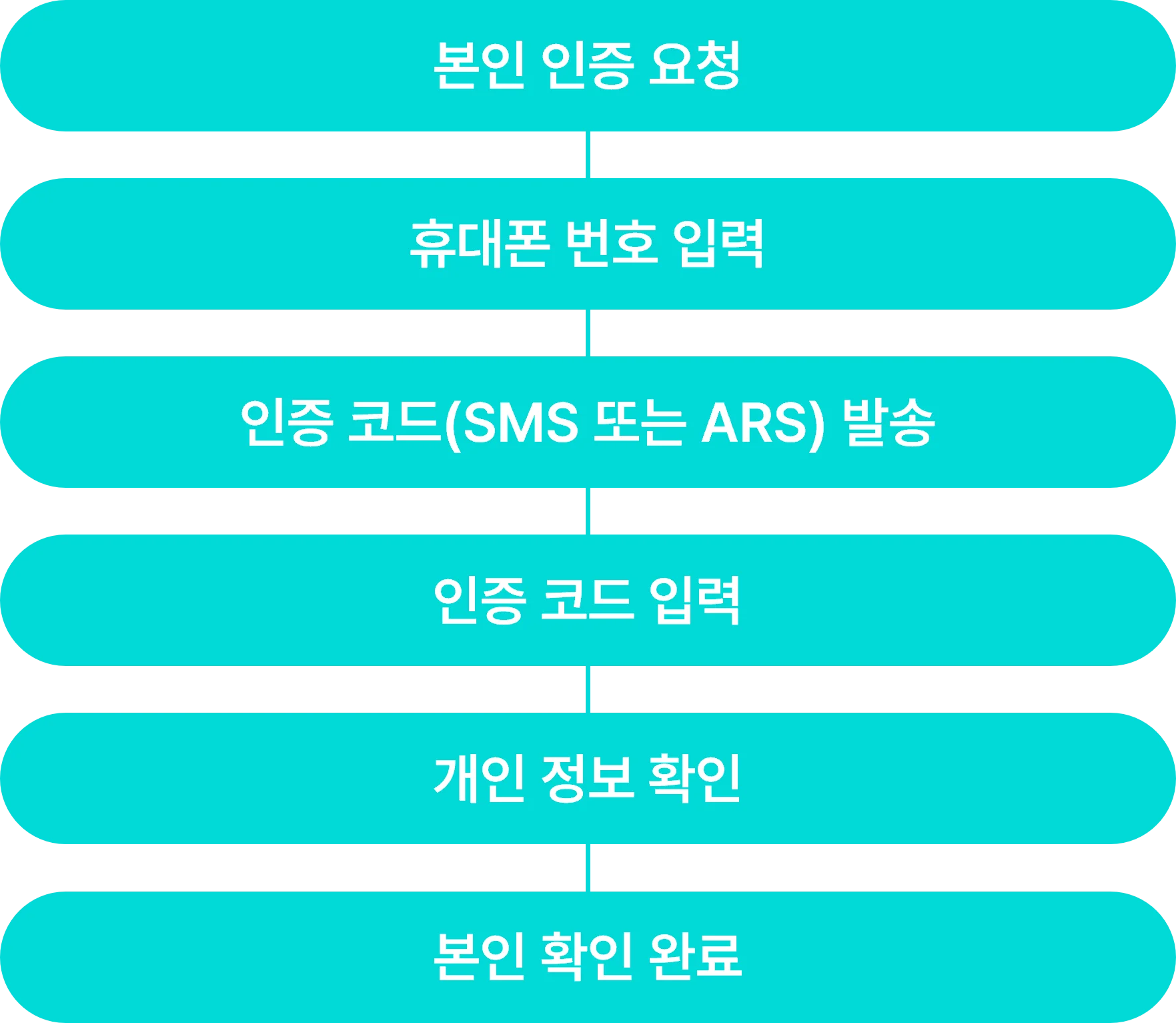 PASS 본인 인증 프로세스