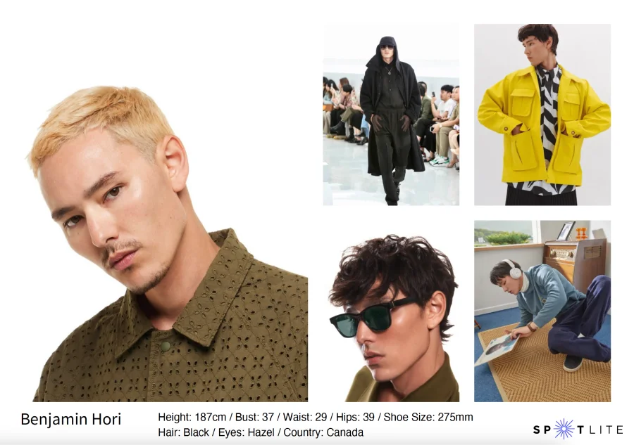 스포트라이트 벤자민 호리