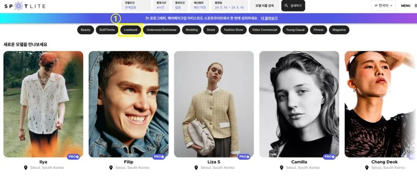 LookbookModelExclusion
