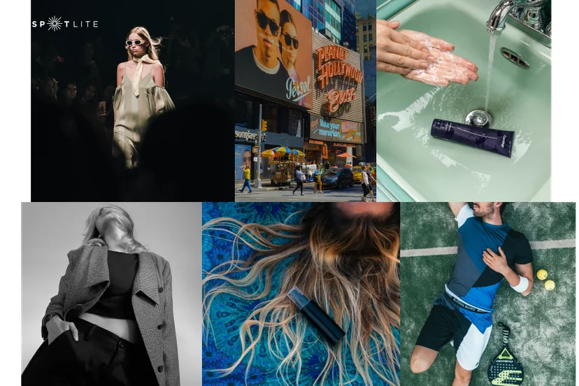Modeling Agencies