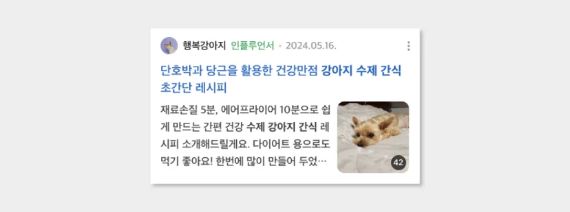 네이버 인플루언서