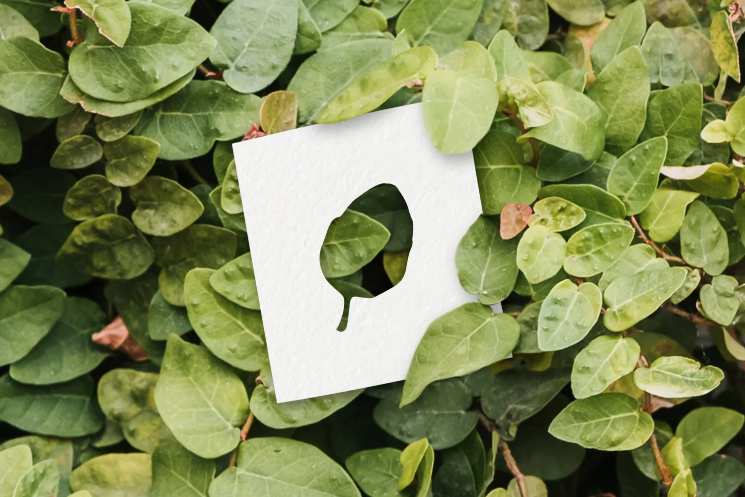 친환경 마크 참고 이미지