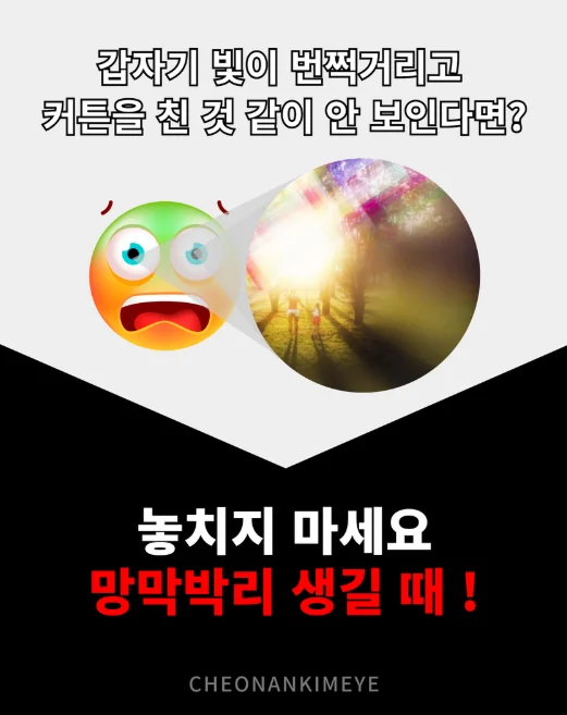 천안 망막박리