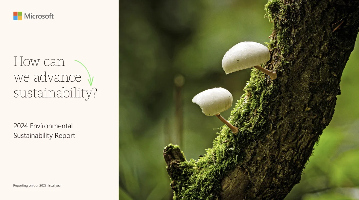 이사회의 다양성을 높이고 투명한 경영 방침을 통해 지배구조를 강화하는 마이크로소프트