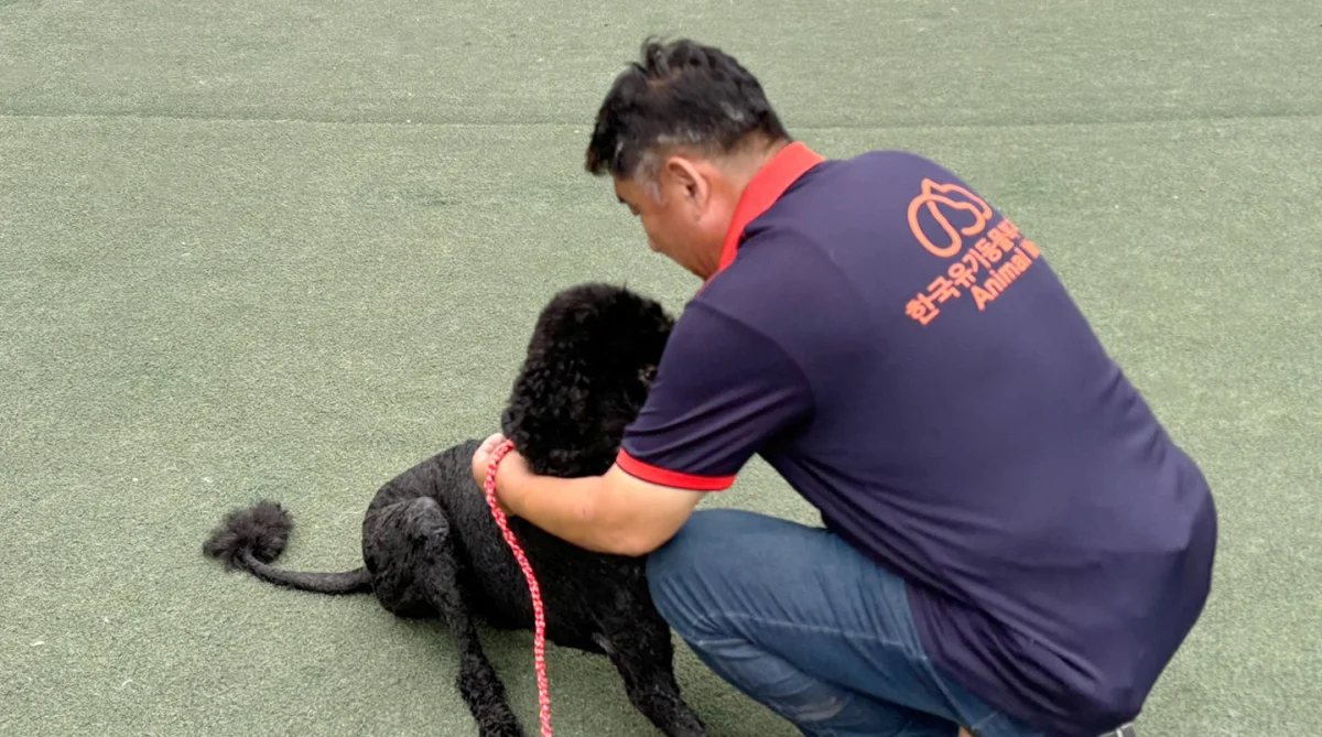 유기견 보호소에서 봉사활동을 하면 동물과 교감할 수 있어요