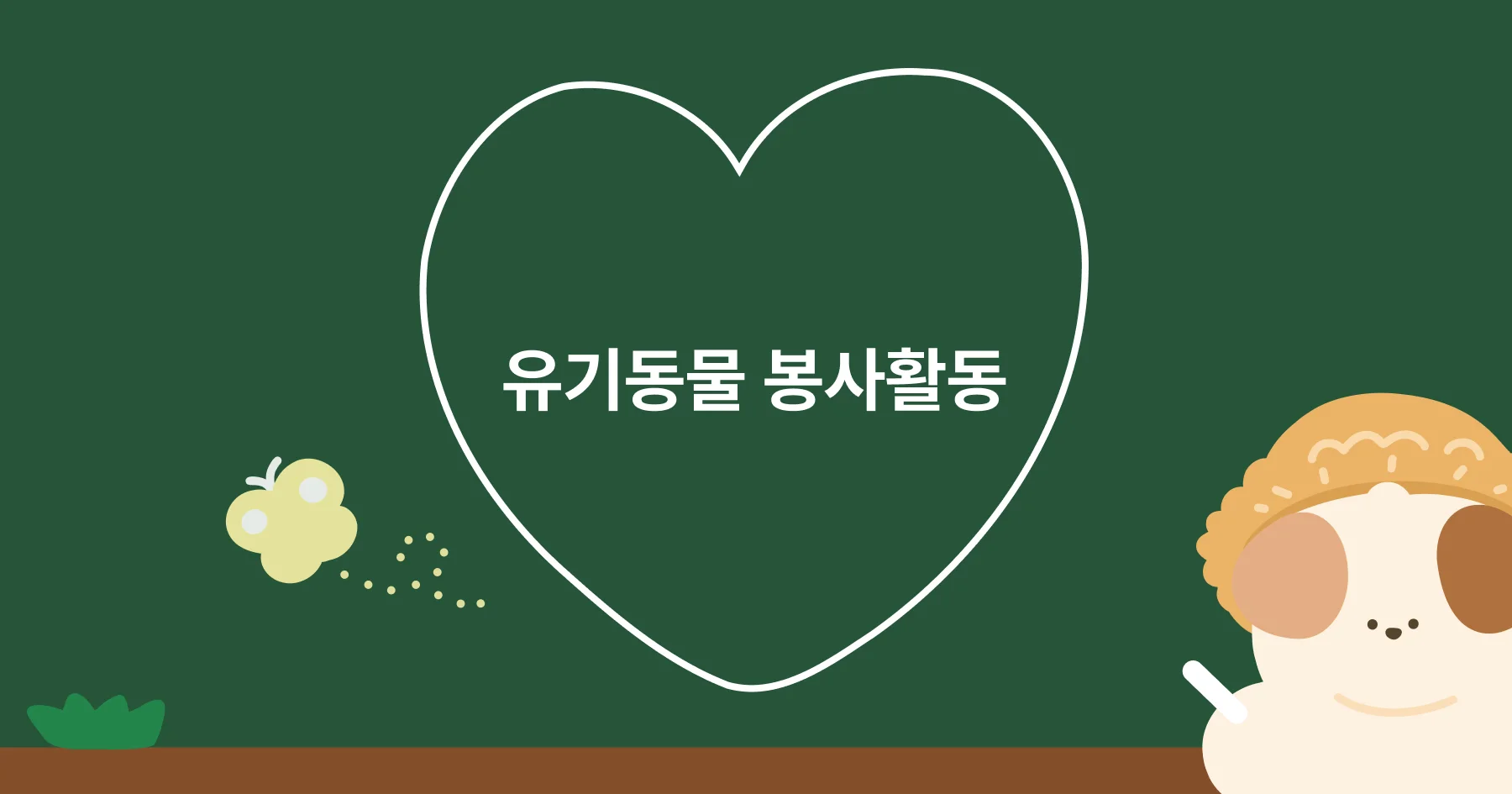 후노와 비대면 유기동물 봉사활동을 해보세요