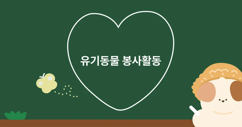 후노와 비대면 유기동물 봉사활동을 해보세요