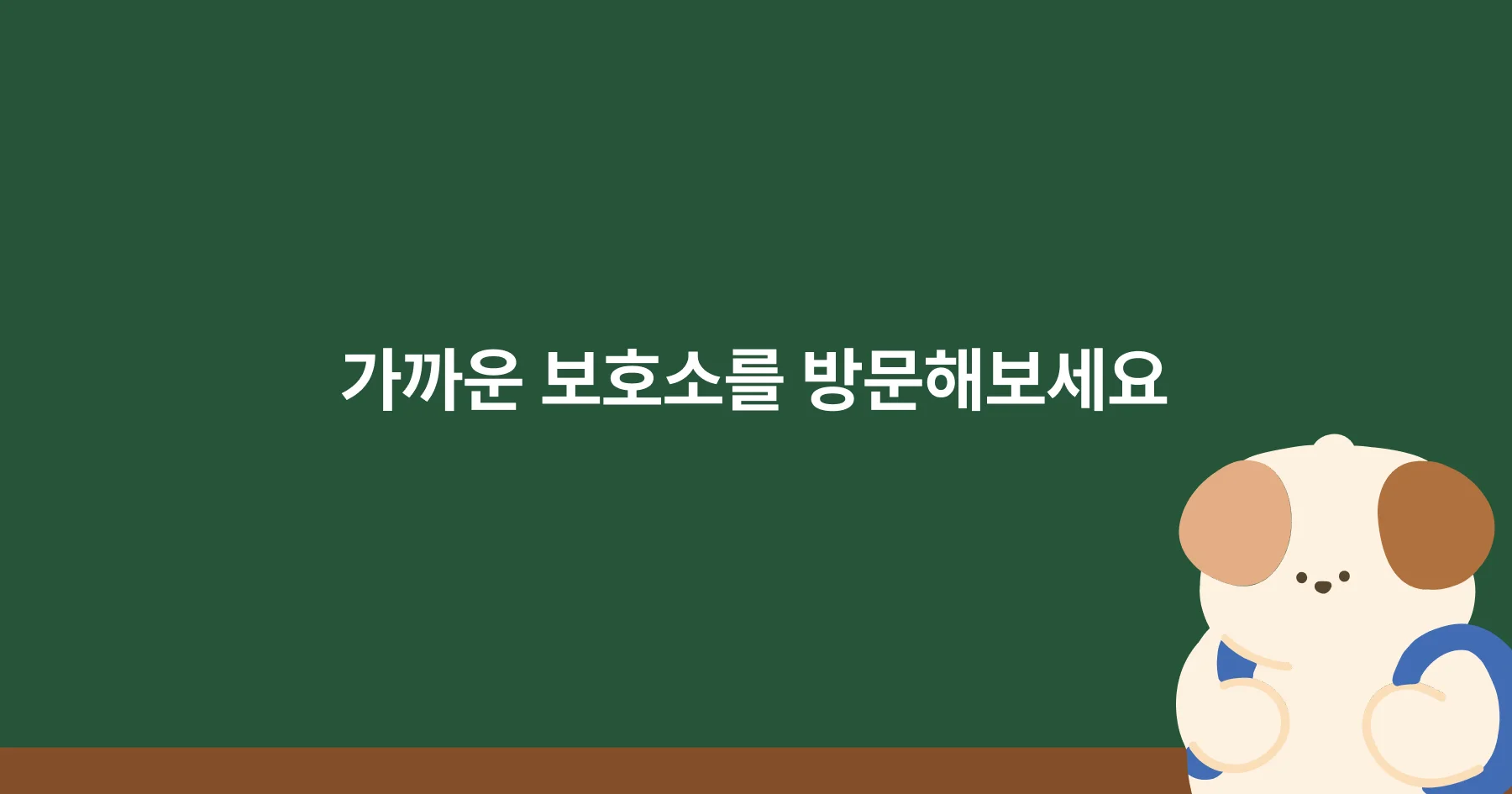 학생들의 특별한 교육 활동이 될 수 있는 유기견 보호소 봉사활동