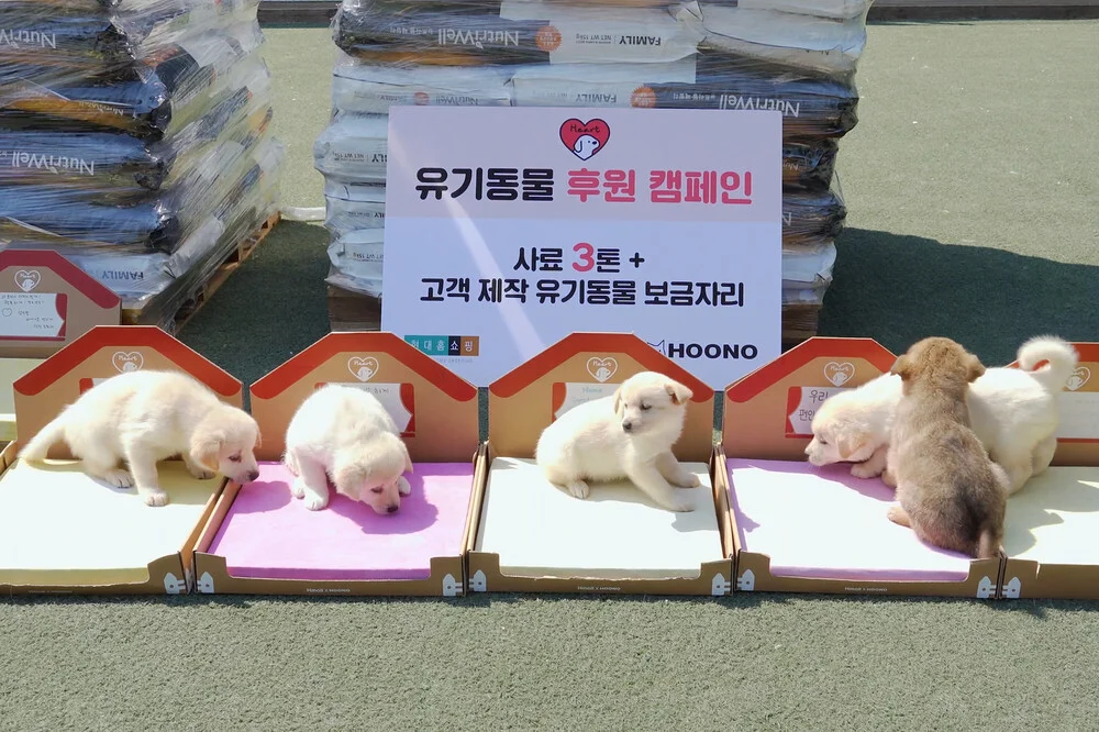 후노와 현대홈쇼핑의 비대면 유기견 봉사 및 후원 캠페인