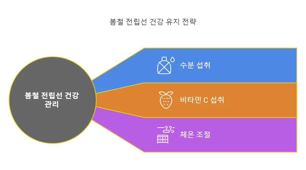 2025 전립선 건강가이드