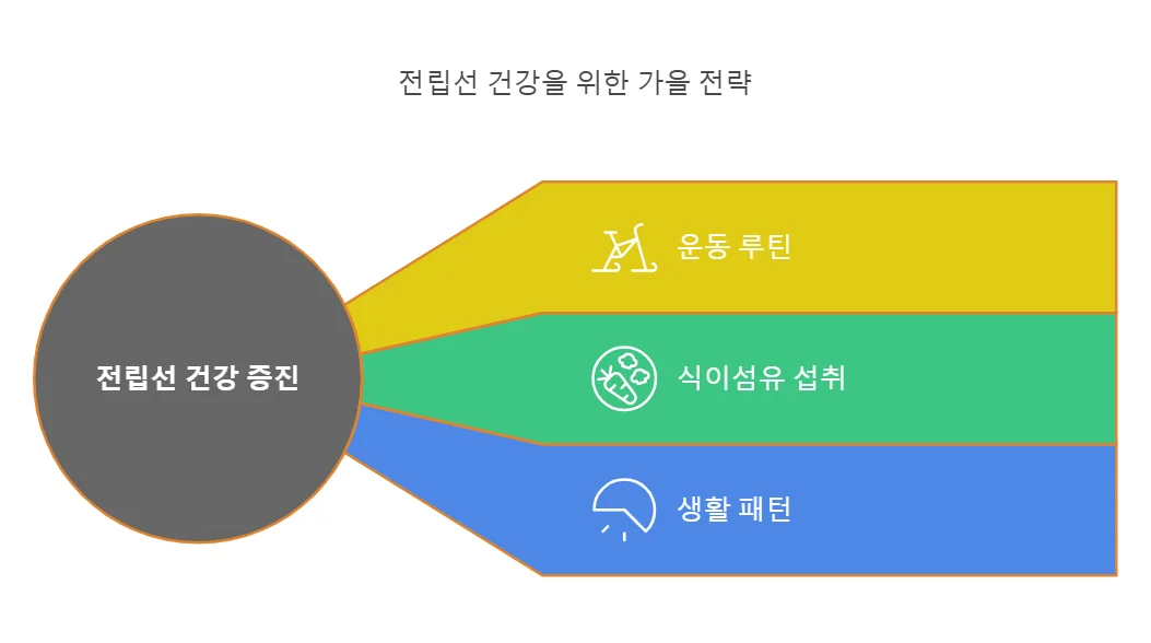 2025 전립선 건강가이드