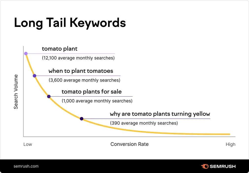 long tail keyword example