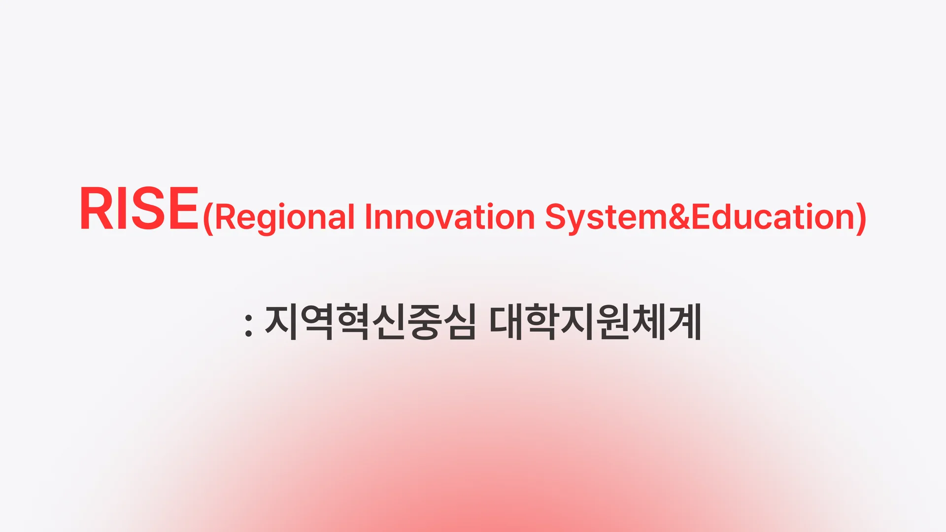 지역혁신중심 대학지원체계 RISE