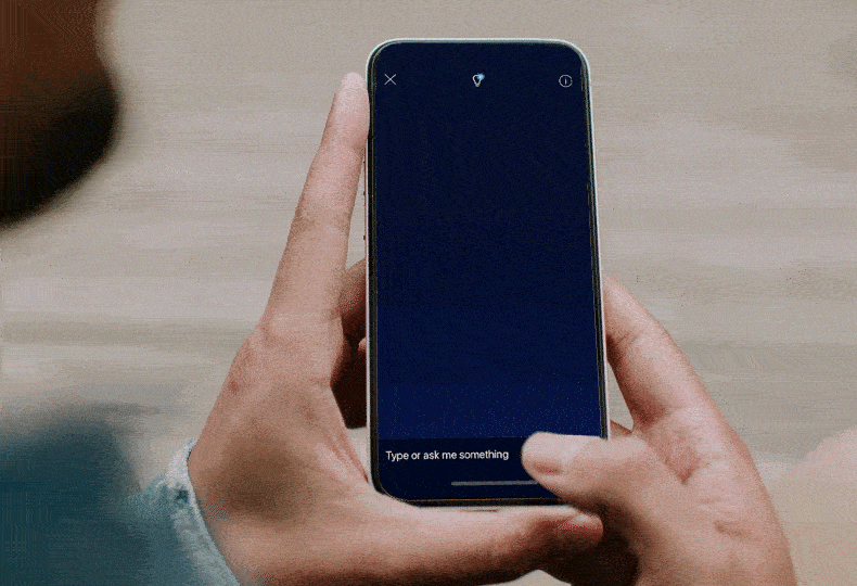 뱅크 오브 아메리카의 AI 챗봇, Erica