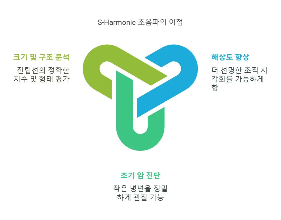 천안 전립선 초음파 검사