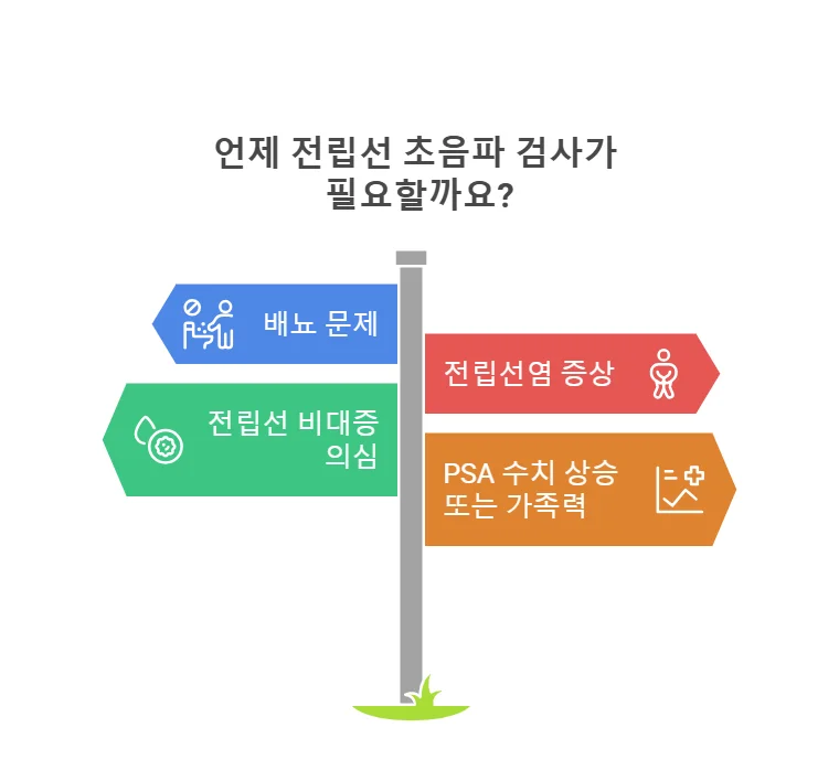 천안 전립선 초음파 검사