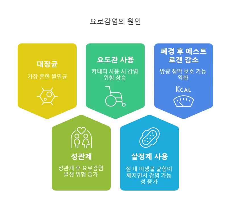 천안 겨울철 요로감염