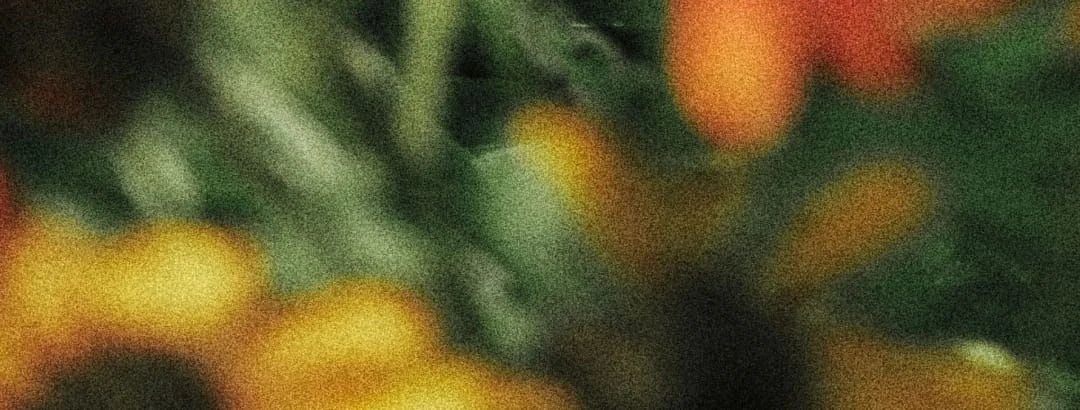 지속 가능한 패션, 비건 패션, 슬로우 패션, 버섯 가죽, 친환경 의류 브랜드