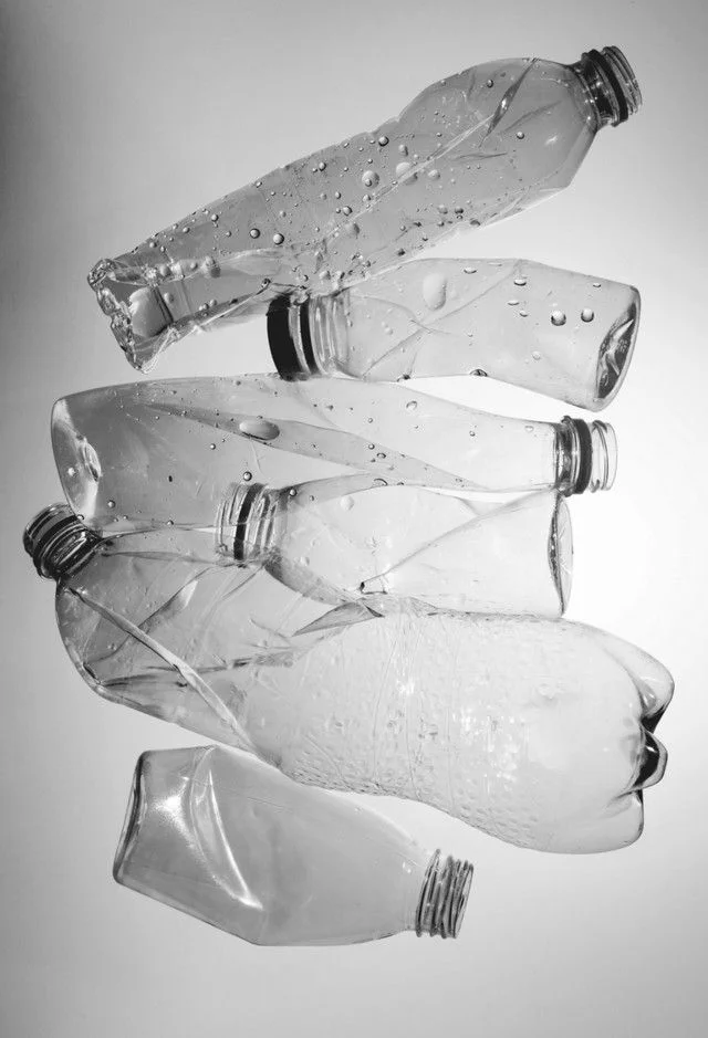 지속 가능한 패션, 비건 패션, 슬로우 패션, 버섯 가죽, 친환경 의류 브랜드